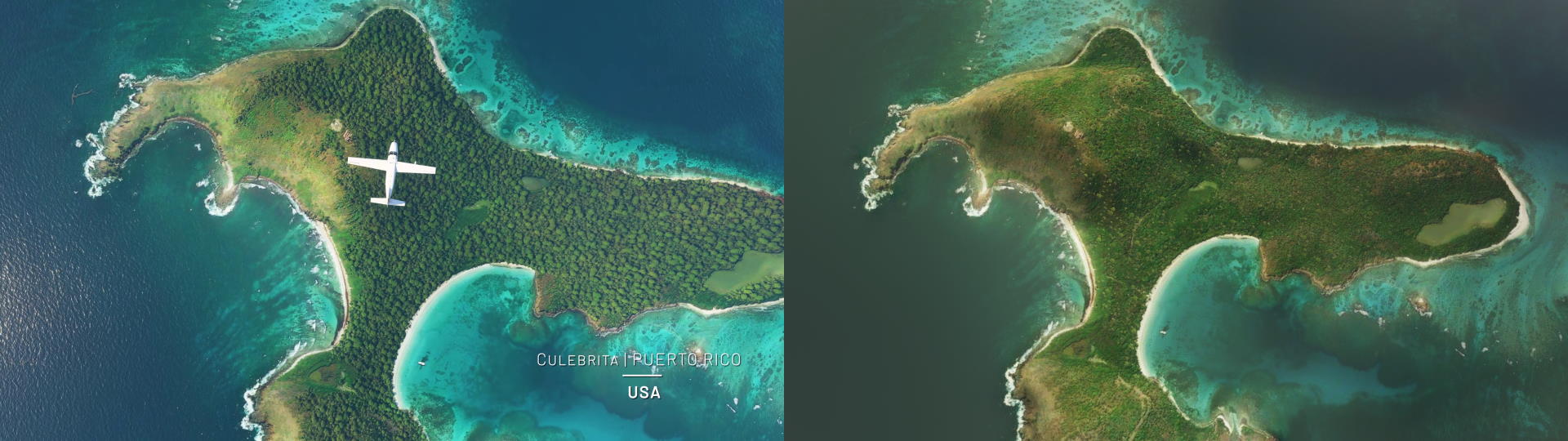 culebrita.jpg