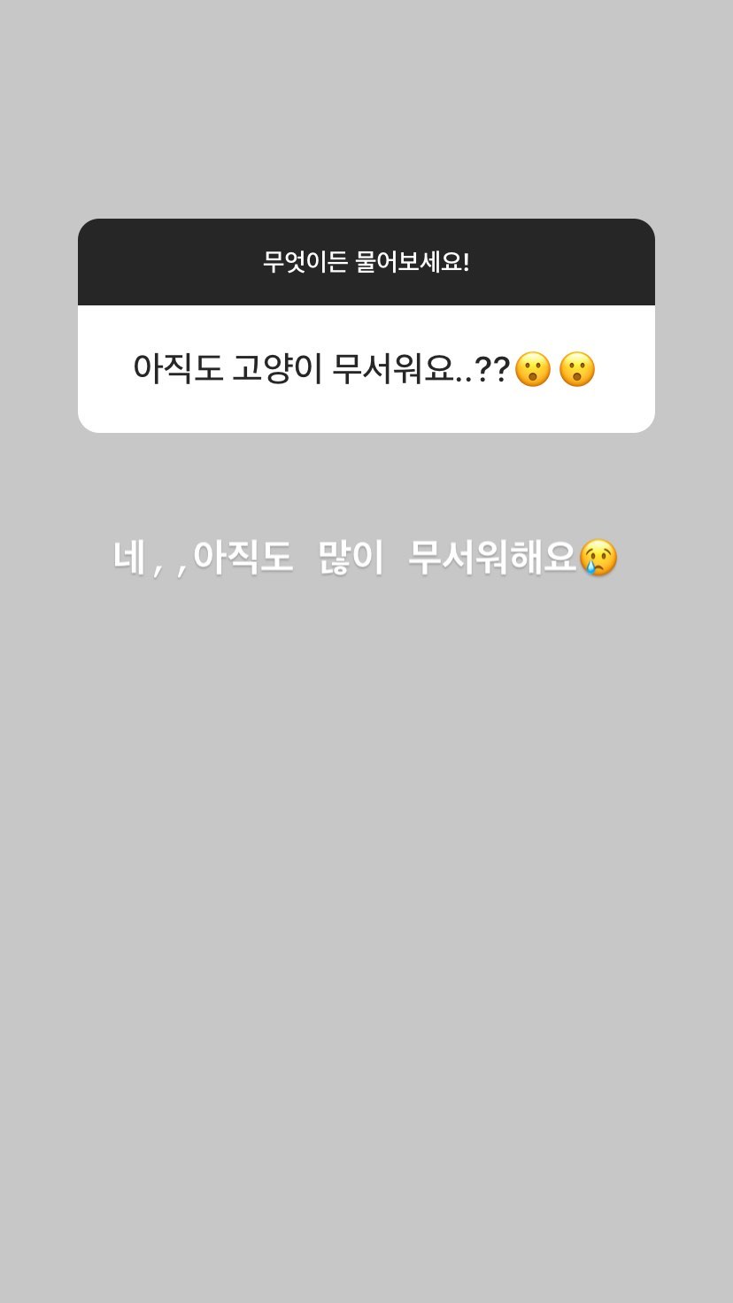 119613228-381703112832340-13035800328749