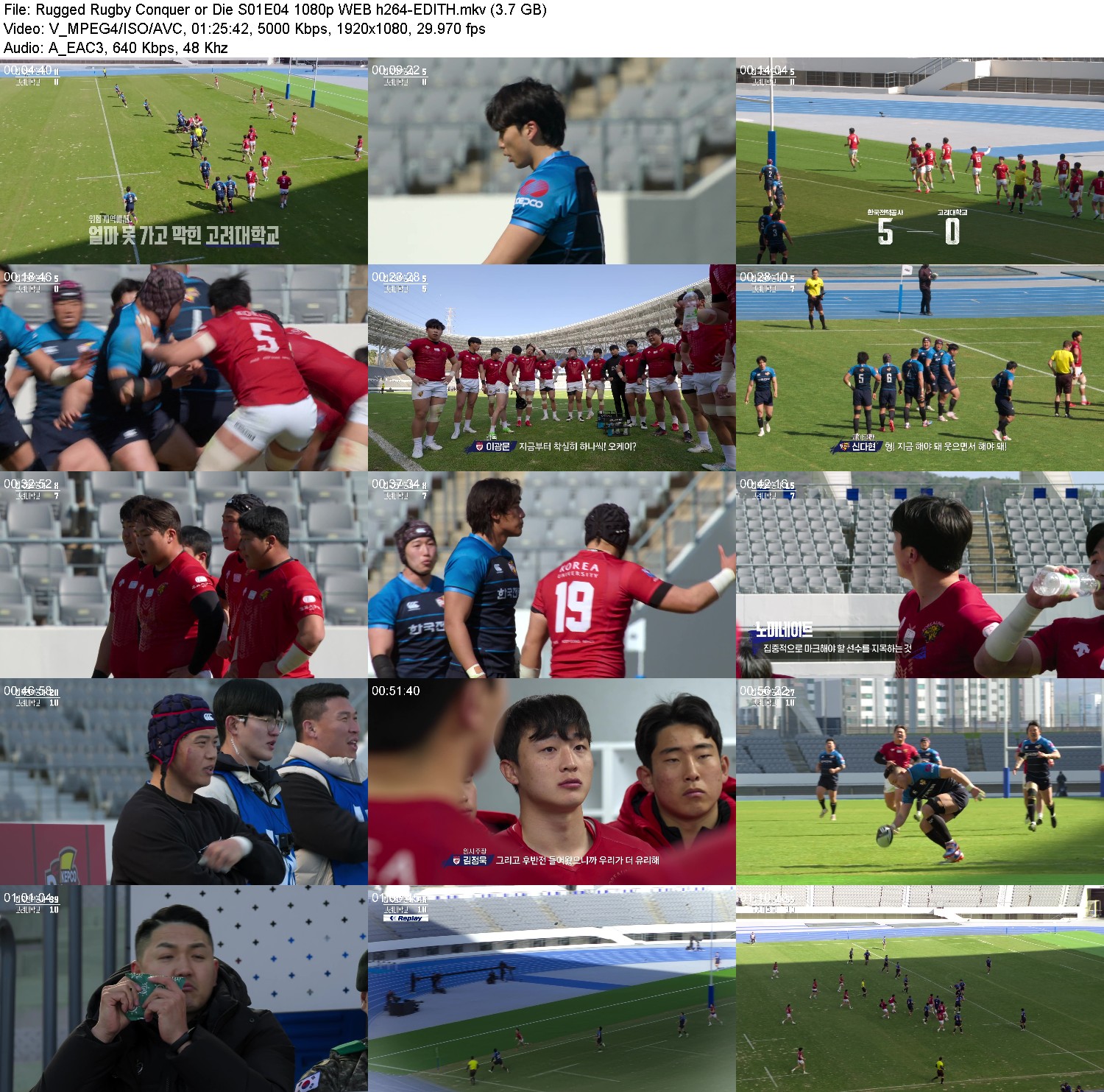 [Image: uyh1nnb46mv6.jpg]