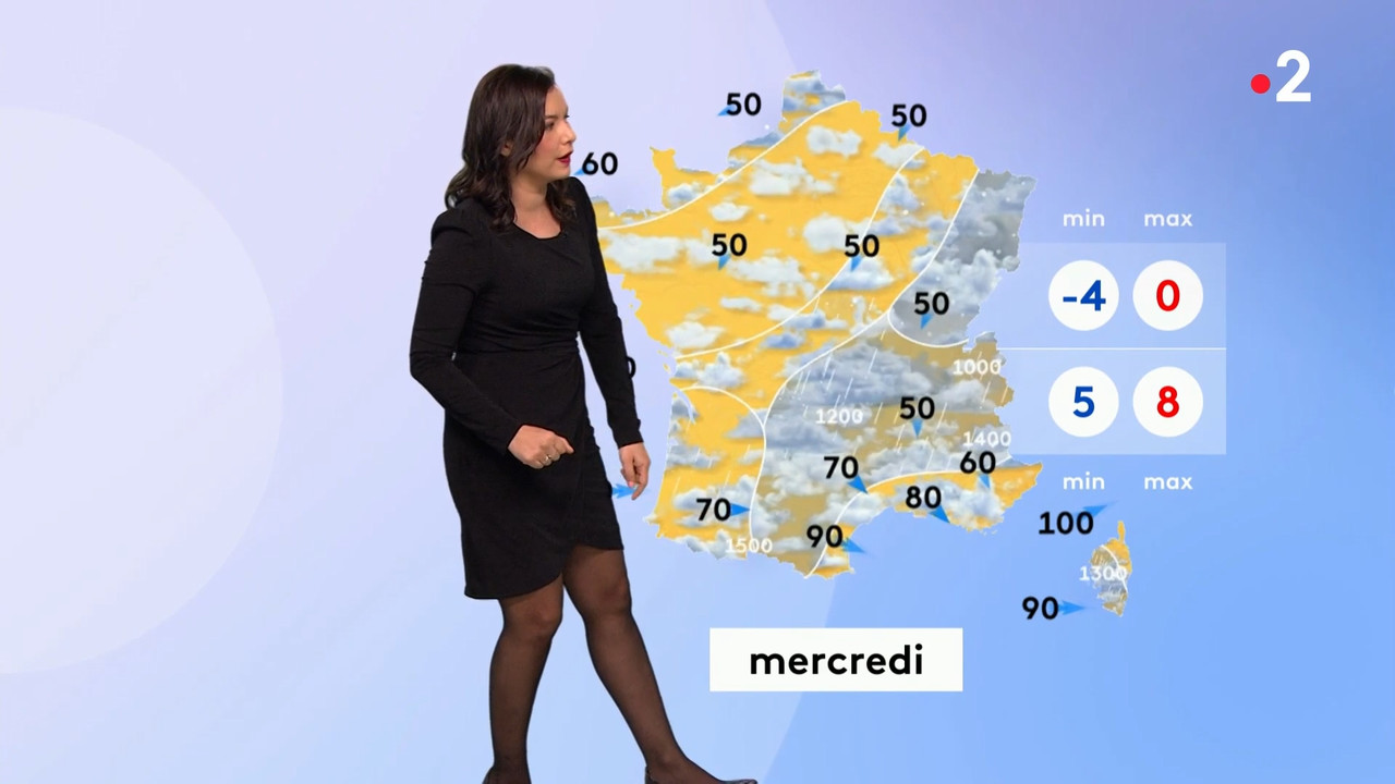 2021-02-08_12_50_Fr2_Meteo.mp4_snapshot_11.49.097