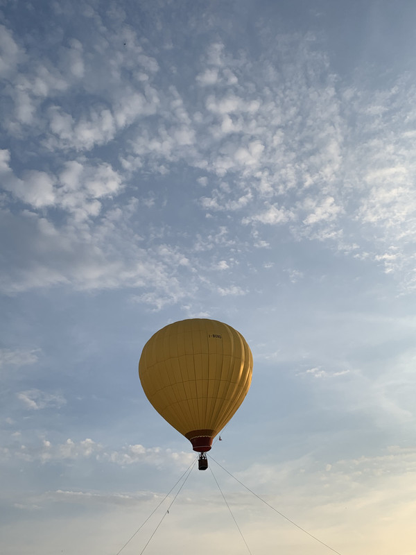 947C602F-613D-43F6-85FF-25F5993647B1