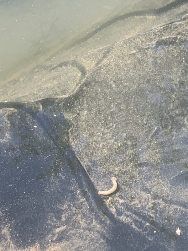 5D603D85-99E3-4D91-87CE-2EECFAA91BF9