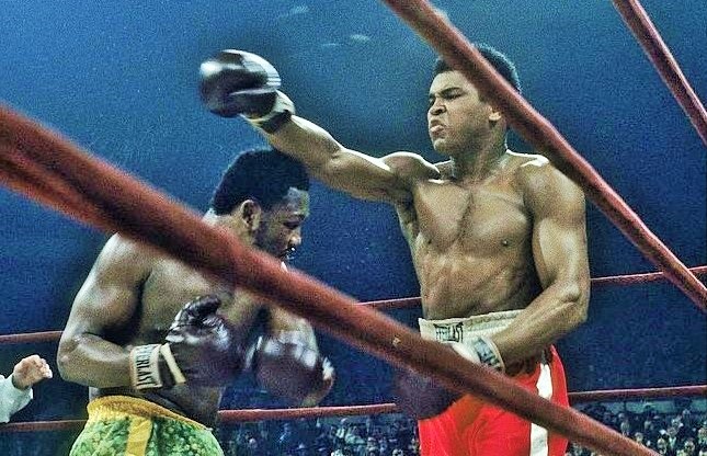 ali-joe-71.jpg
