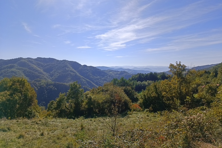 IMG-224dd9325c88929752f4b3b184482ae8-V.j