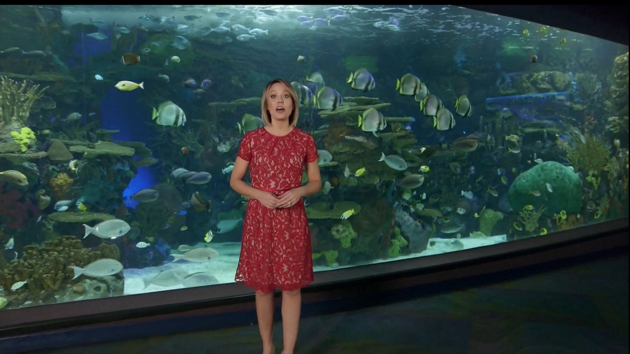 11.07 - 15.00.00 - Earth Odyssey With Dylan Dreyer. The world's smart....ts_snapshot_01.05.22.761
