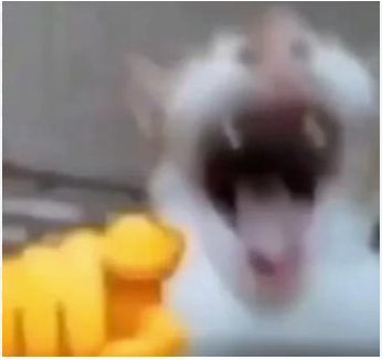 圖 聽不到龜頭十講人民才這麼不同意罷免