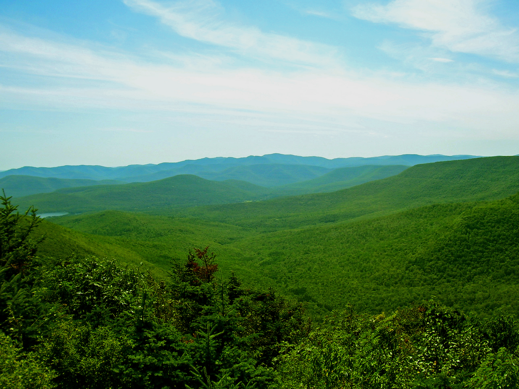 Central-Catskills-from-Twin-south-summit-1.png