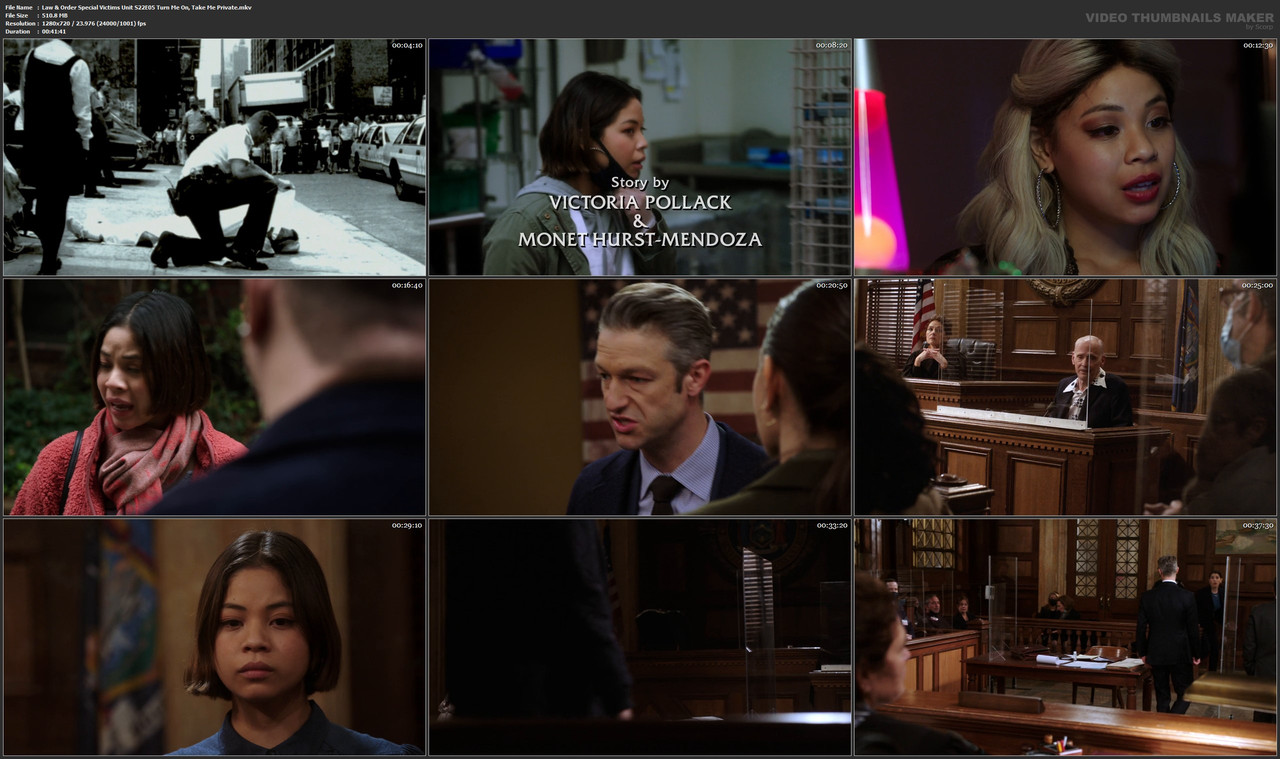Law & Order Special Victims Unit S22E05 Turn Me On, Take Me Private.mkv