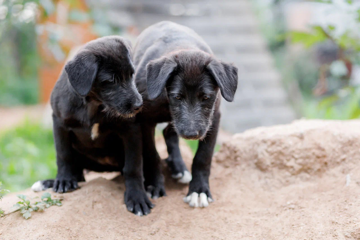 resize-image-online.com_7jpg_iC5yN7jT