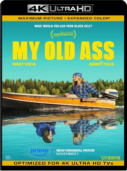 Mi Yo Del Futuro (2024) WEB-DL 4K UHD-HDR10 2160p Latino [GoogleDrive]