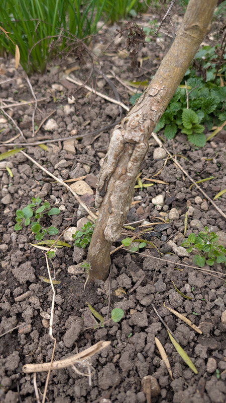 PXL_20250327_144441782