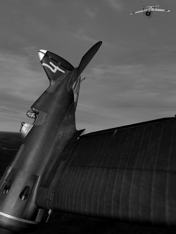 2019.01.12 00-12-07BWHC