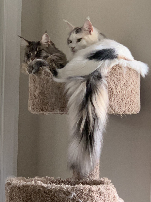 D9AC8D7F-EA65-4215-9357-E02CF562CCB0