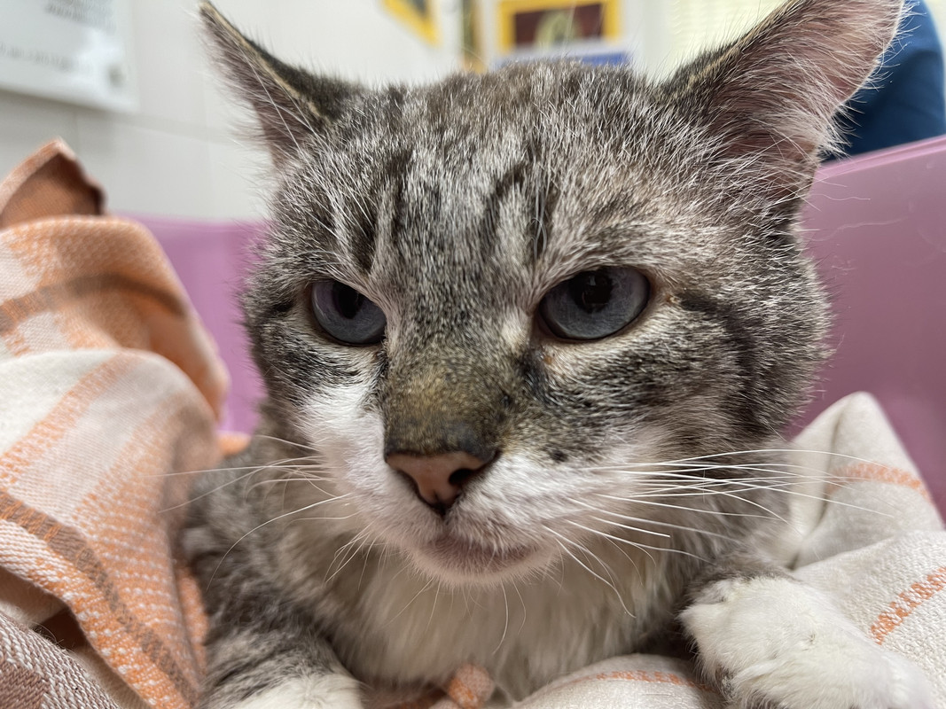 C8F2524B-646D-46A5-875C-E03839CADAC7(1)