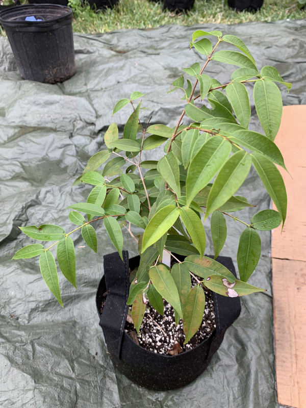 BDC697FE-6895-4ECF-A854-1E211CCCDCB1