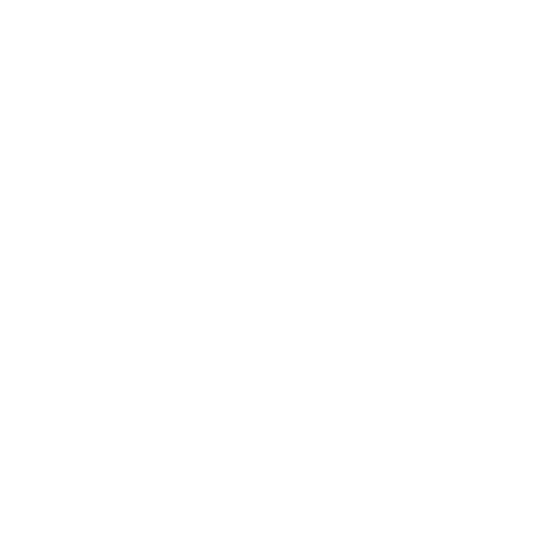 PLIVE Logo