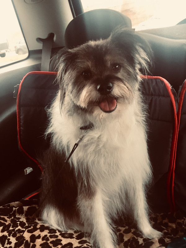 A2F165E6-7992-4A3D-AE90-68B014E712C8