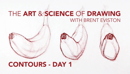Contours: Day 1 / The Art & Science of Drawing