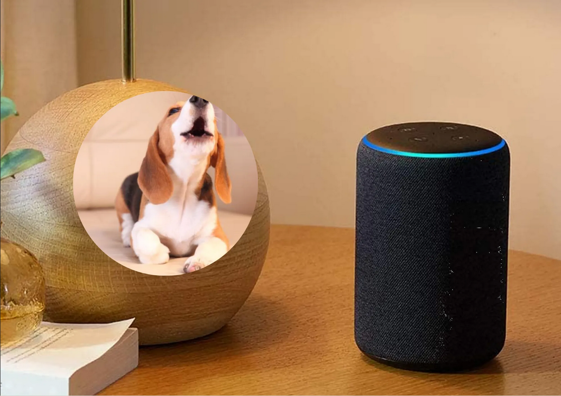 Alexa: Así puedes hacer que te ayude a cuidar tu hogar cuando estés