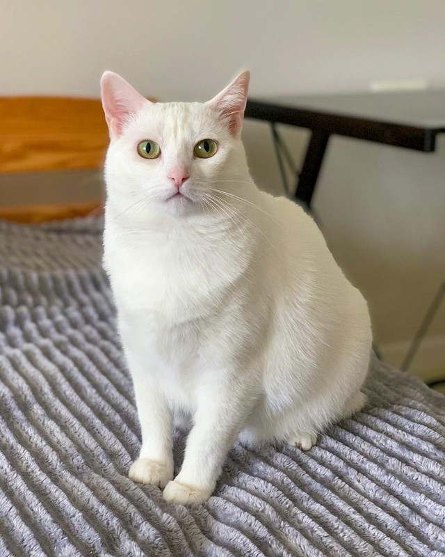 94679224-670C-4082-89D5-43B87A65C399