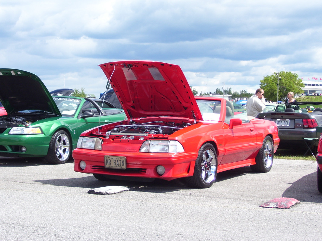 photo - Montréal Mustang: 40 ans et + d’activités! (Photos-Vidéos,etc...) - Page 19 100-0615