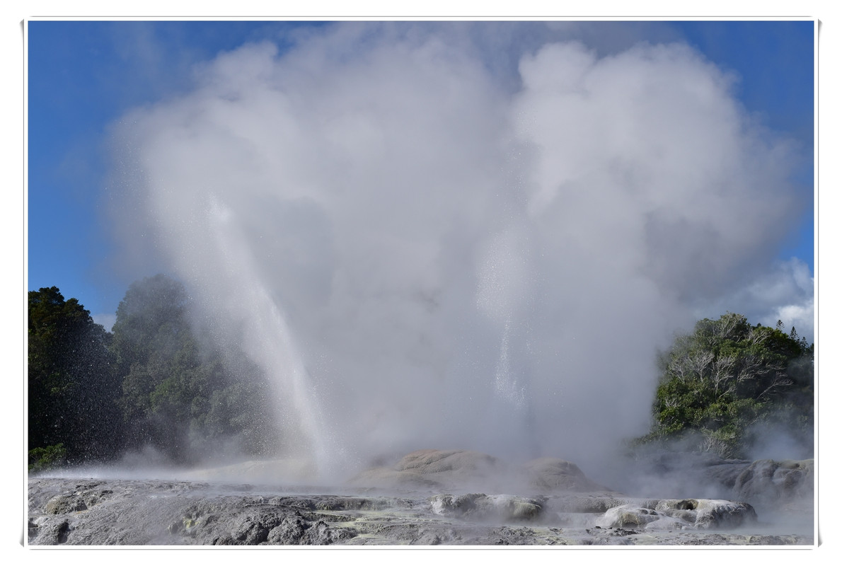 Cosas que hacer en Rotorua - Escapadas y rutas por la Nueva Zelanda menos conocida (4)