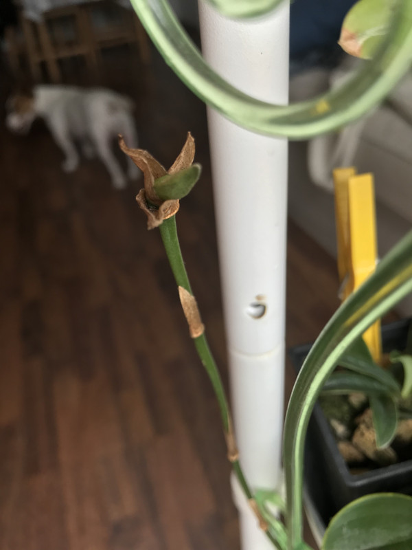 1364D39D-150D-4DA6-84B2-8724FA52028A