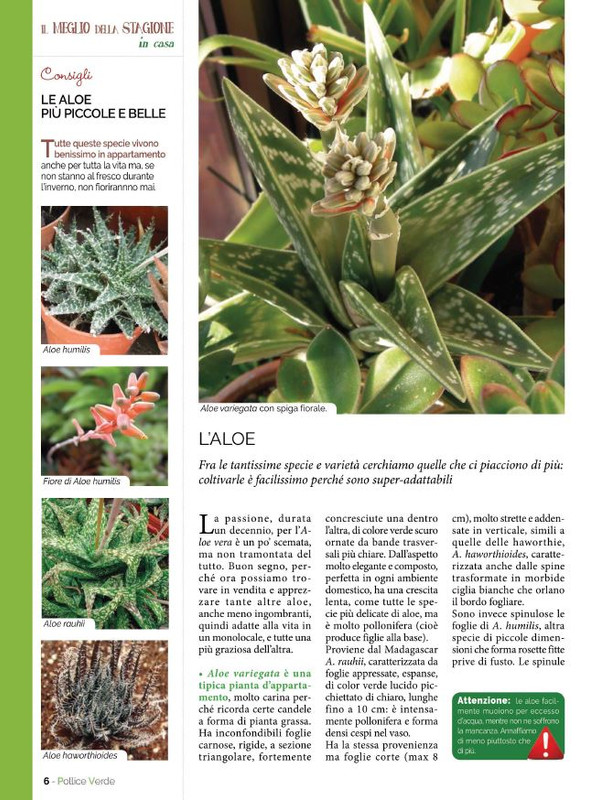 Pol Ver Mag 2022 (1)