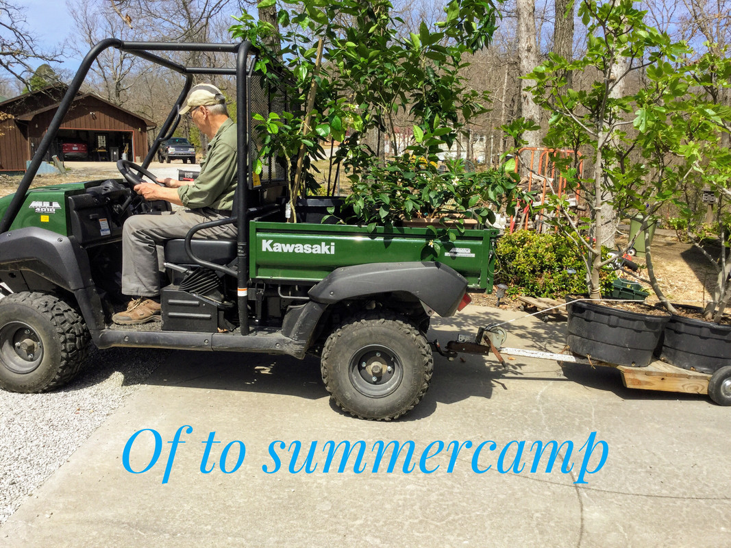 3FB5758A-746B-4CD7-B035-78E487352645