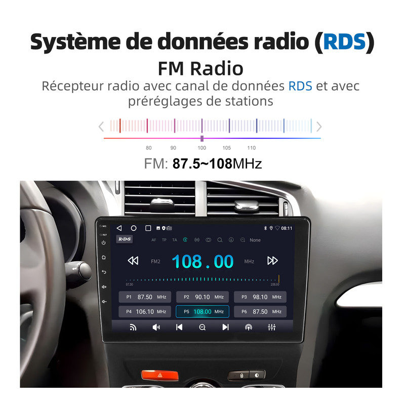 C41118-FR-12-RADIO-FM