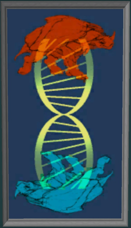 Double Helix