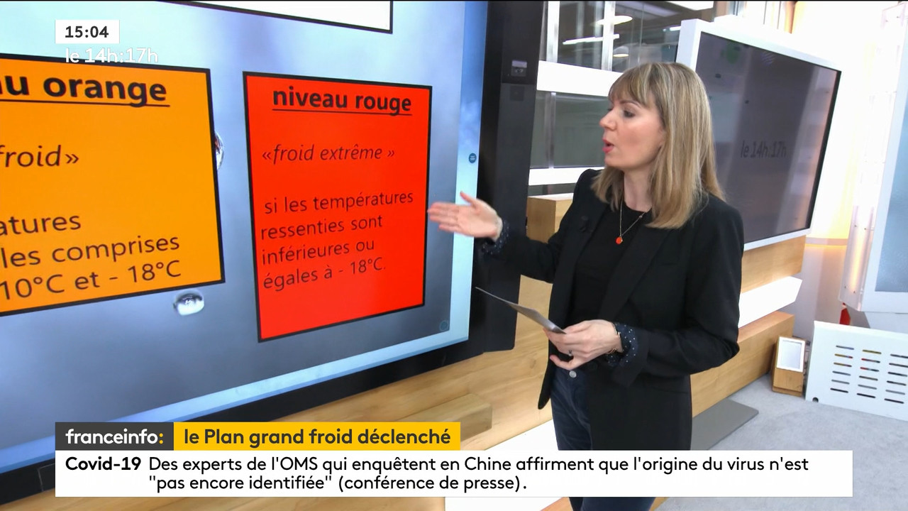 02.09 - 12.59.00 - Le 14h-17h. Au sommaire   Vrai ou fake. - francein..._001.ts_snapshot_00.09.893