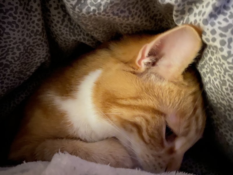 BC6CD3FD-7C70-4578-98B7-3A3728A98E77