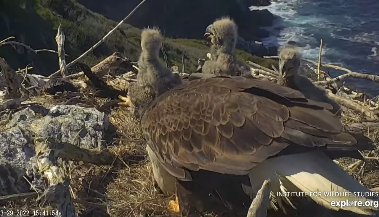 456456AA-4ECC-45E2-9B67-EE6A1F4D7002