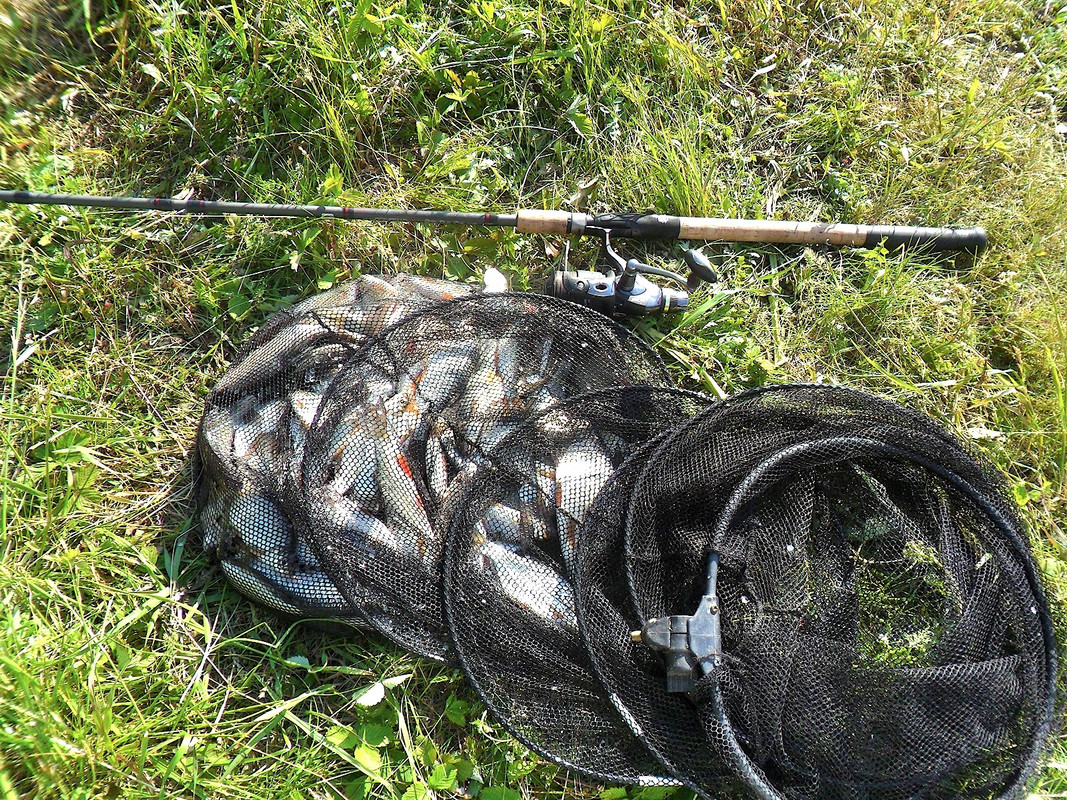 Кочебахтино 17-18.06.13г09