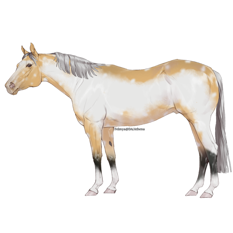Untitled88-20250610114803.png