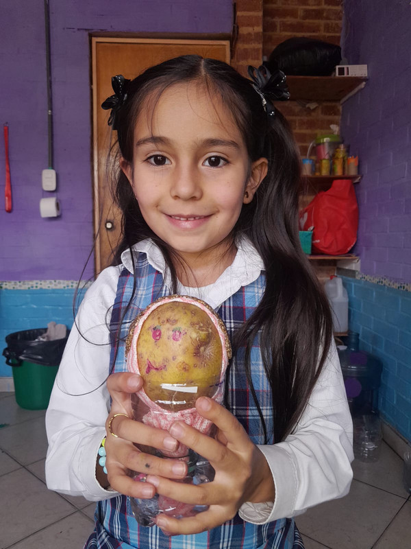 Clases Particulares (40)