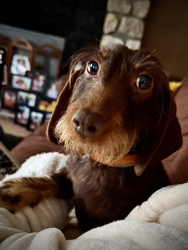 [Image: IMG-3159.jpg]