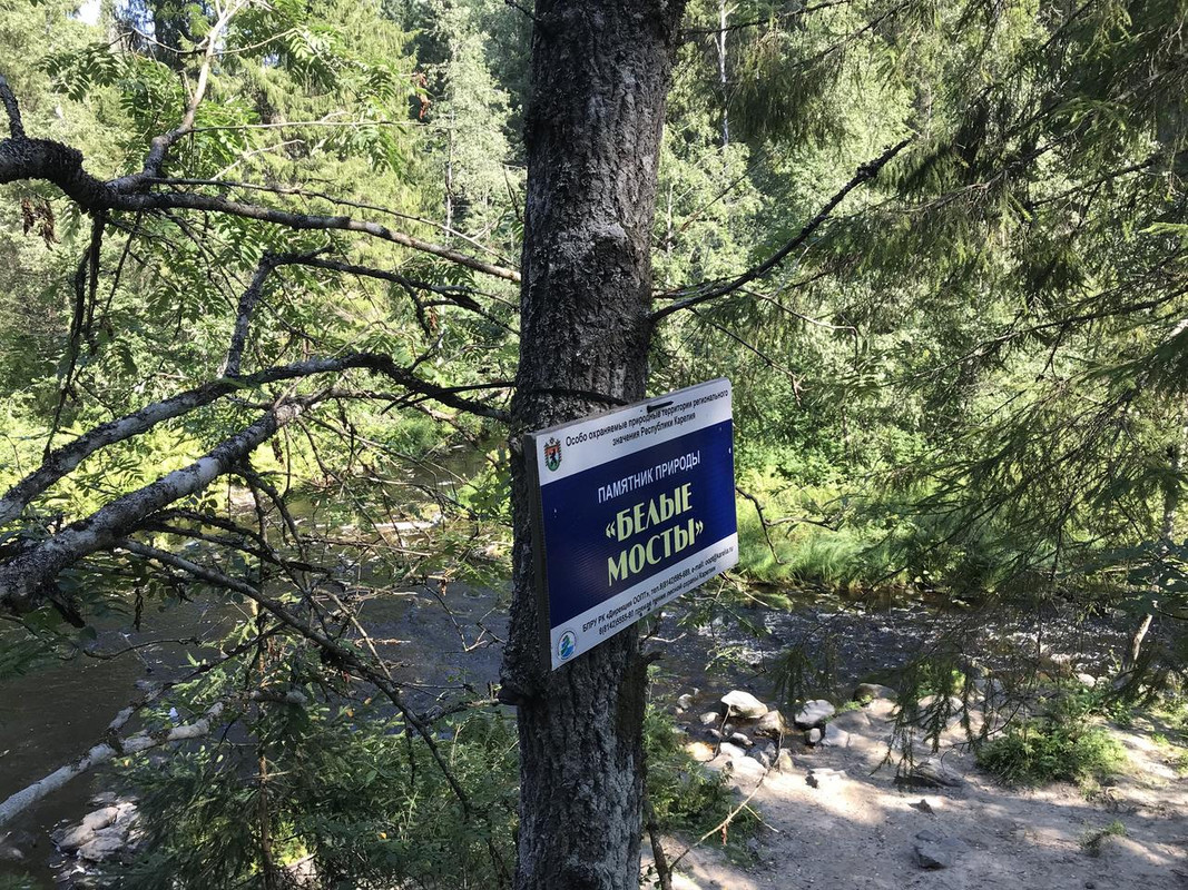IMG 9556