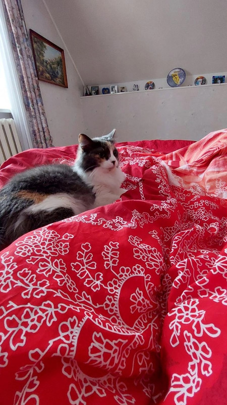 Мальвина_ак