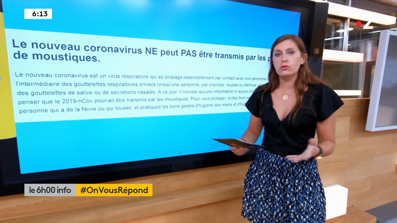 Lise Vogel 110820.mp4_snapshot_01.43_[2020.08.11_17.38.44]