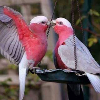 45424934-2144842659114032-7853163266250375168-n