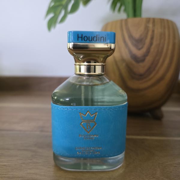 Houdini (Inspiration LV City Of Star)
