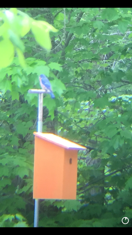 586954F5-6E41-4D55-8DFF-94181ADA869B