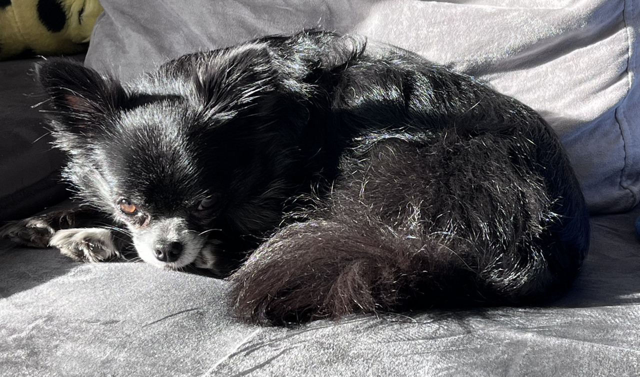 [Image: IMG-8063.jpg]