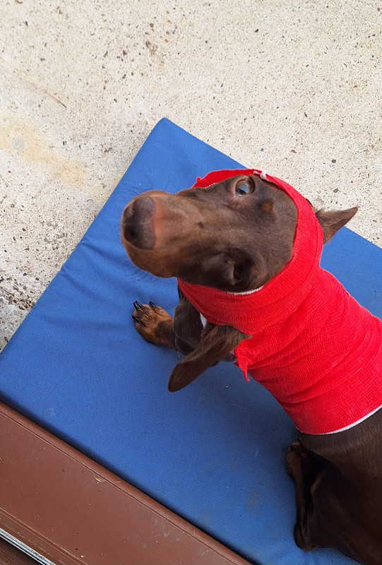 [Image: 20250818-173440.jpg]