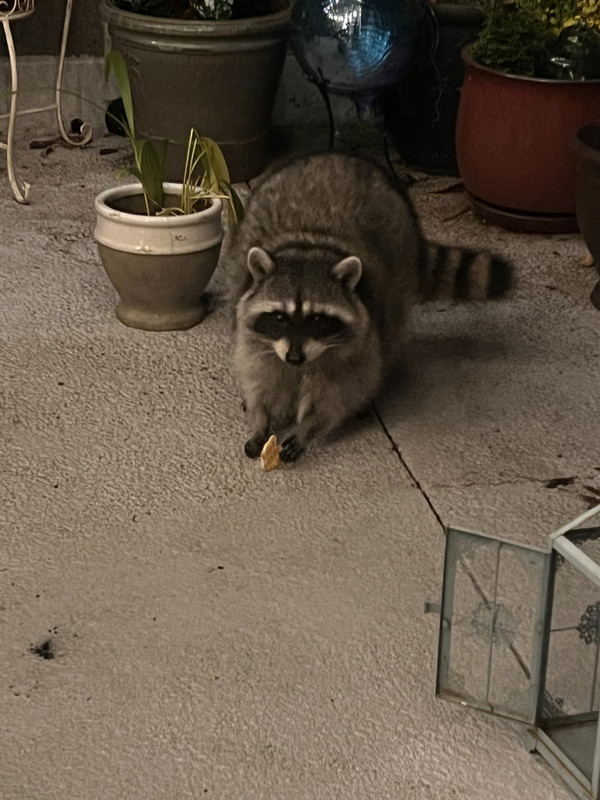 26A51454-6A9E-44B5-A508-3212FE6AB14D