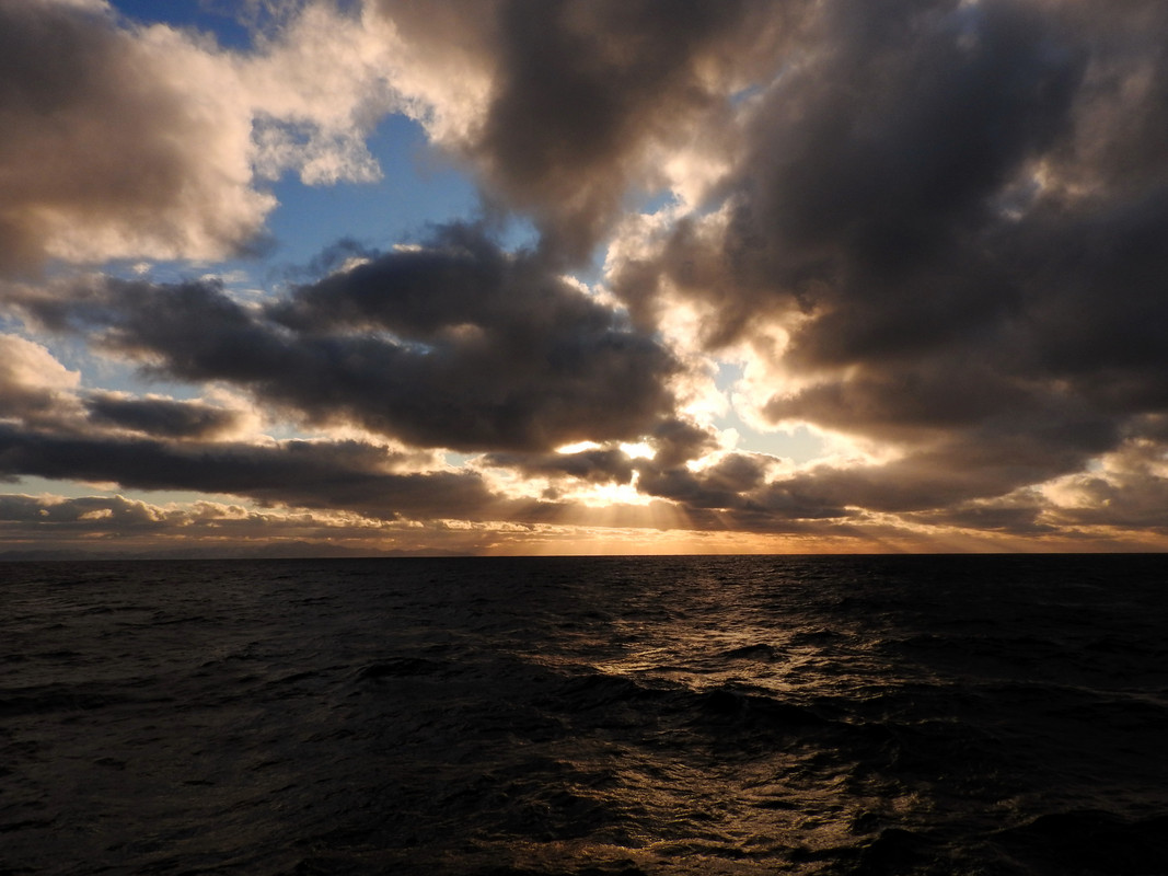 DSCN6361.jpg