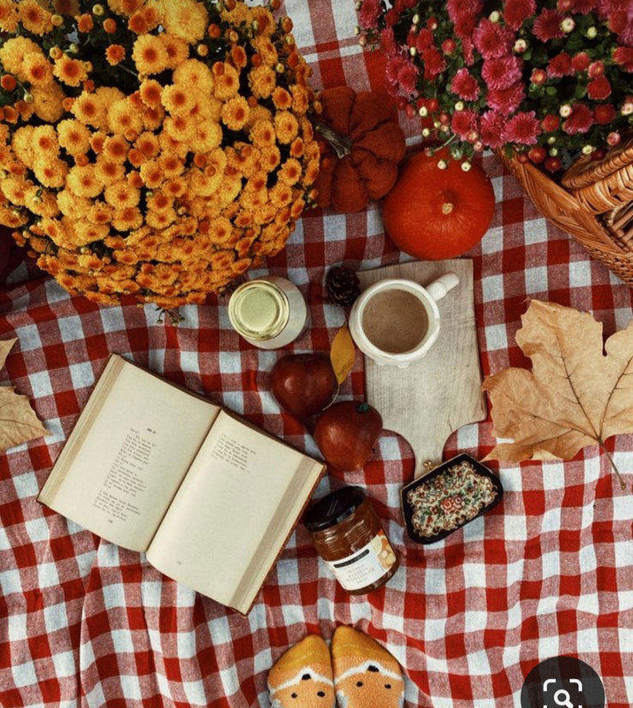 Screenshot_20230923_003743_Pinterest