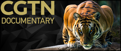 CGTN-DOCUMENTARY.png